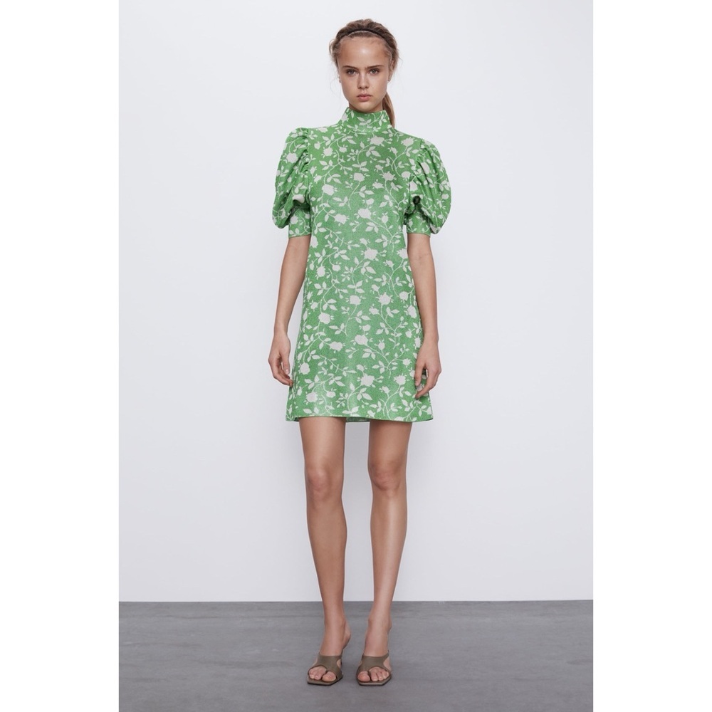 Zara / Floral Green Jacquard Dress